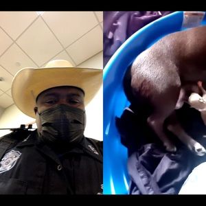 Meet your Posher, Manuel